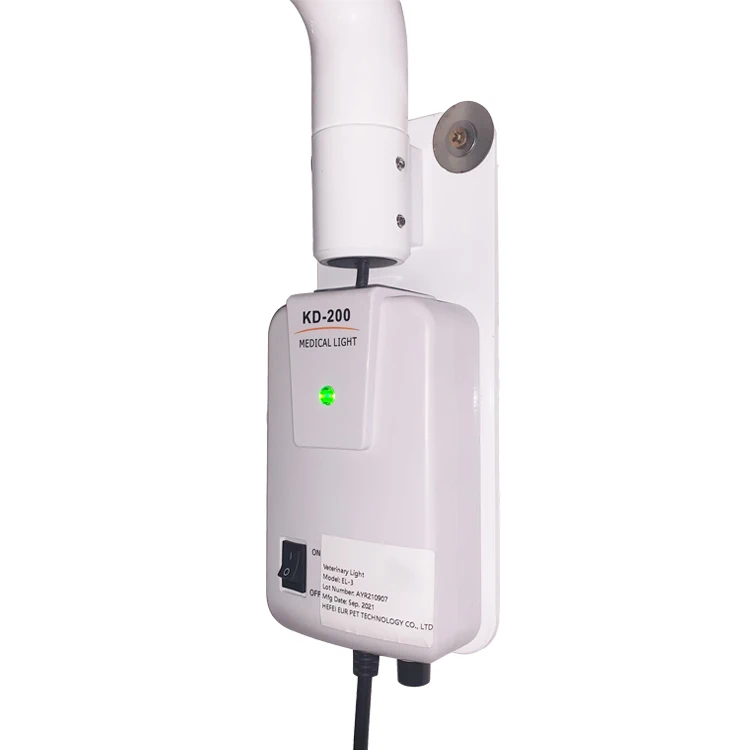 Wall-mounted medical examination lamp and surgical lamp for veterinary use in pet hospitals
