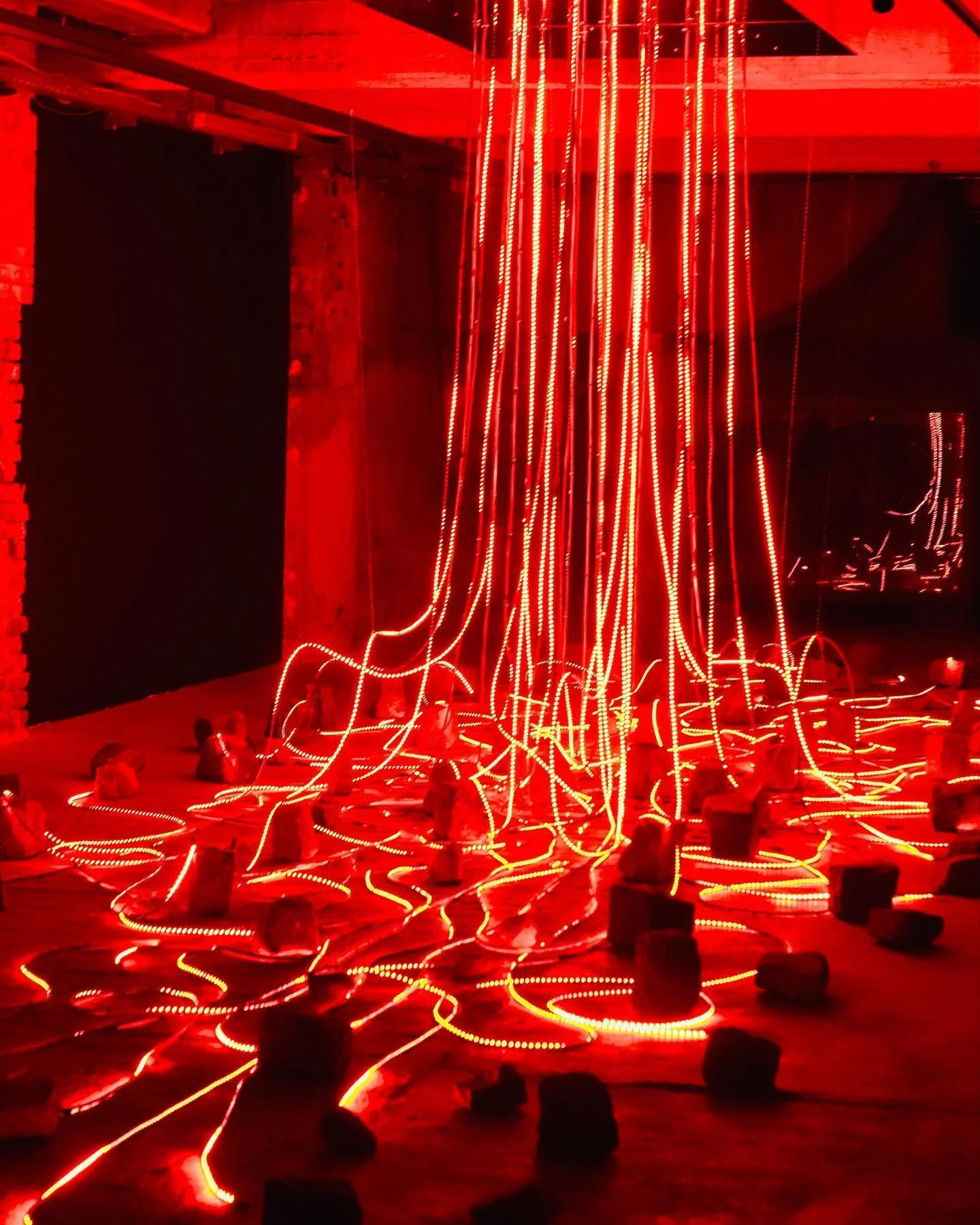 Custom fashion dream color addressable flexible 12/24v pixel LED strip tape DMX SPI rgb rgbw dimmable led strip lights