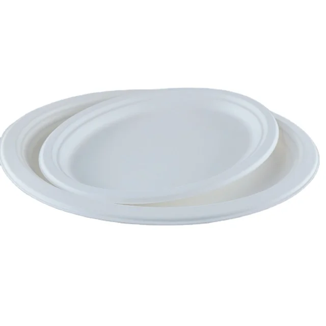 Biodegradable tableware sugarcane bagasse 10inch round plate
