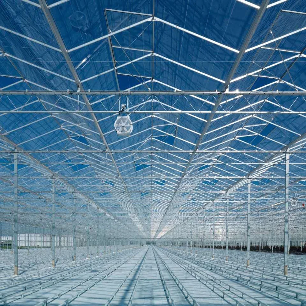 Теплица для сельского хозяйства с гидропонной системой Holland Big Span Venlo