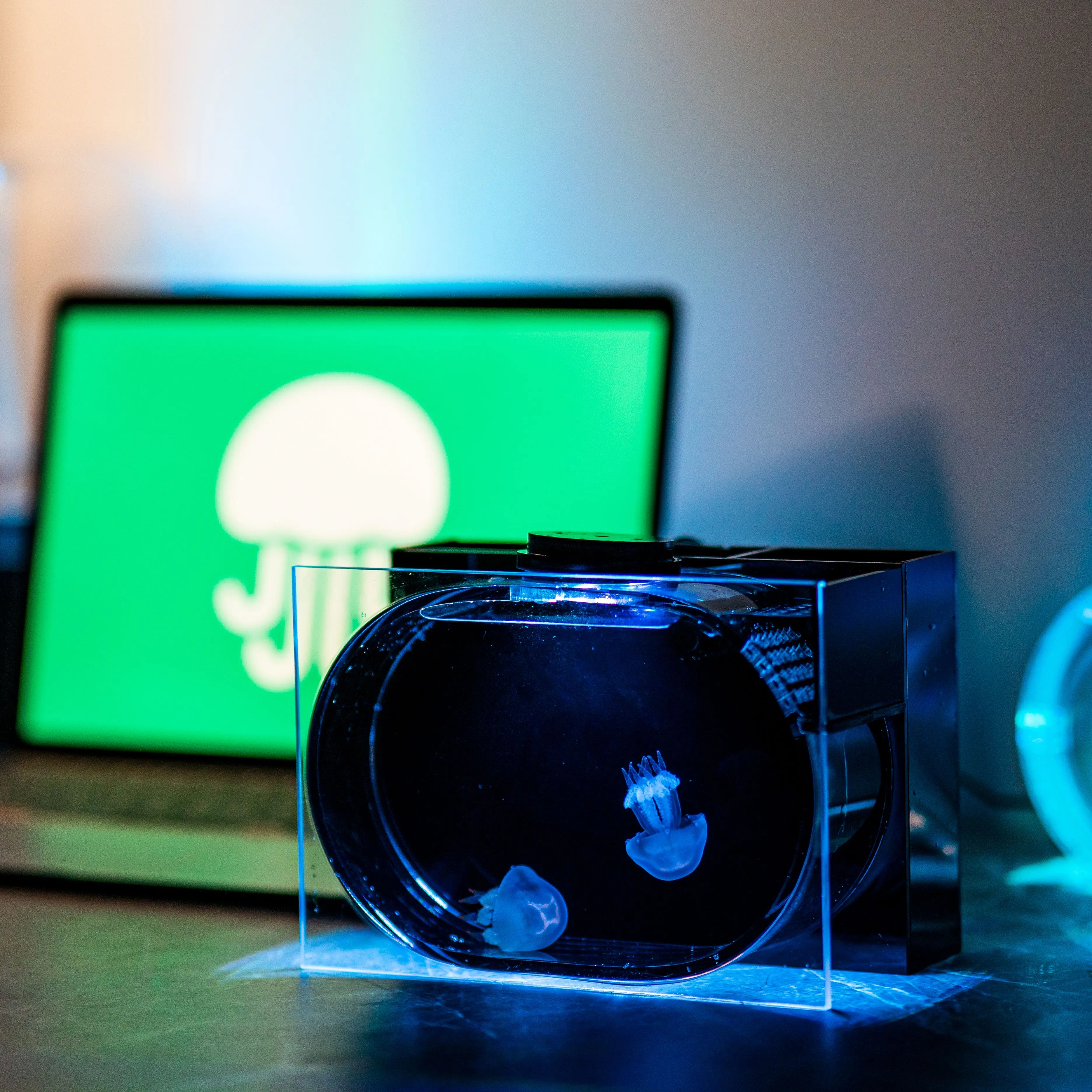 Tabletop viewing small aquarium simple Small fish breeding tank Transparent fish tank fish aquarium tank Aquariums