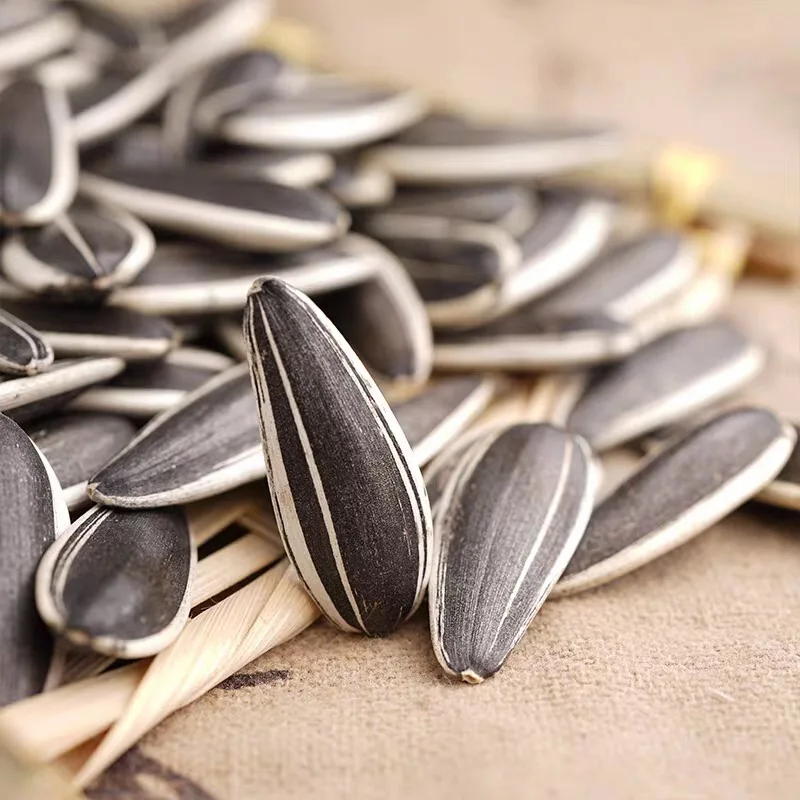 Large grain Inner Mongolia sunflower seeds and melon seeds edible batch found fried original sunflower seeds