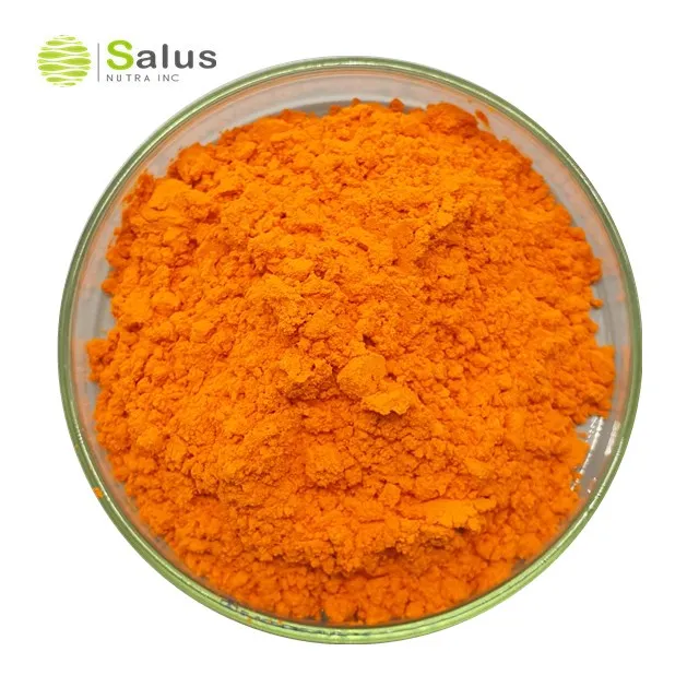 Factory Price Bulk Natural Curcuma Extract curcumin 95%