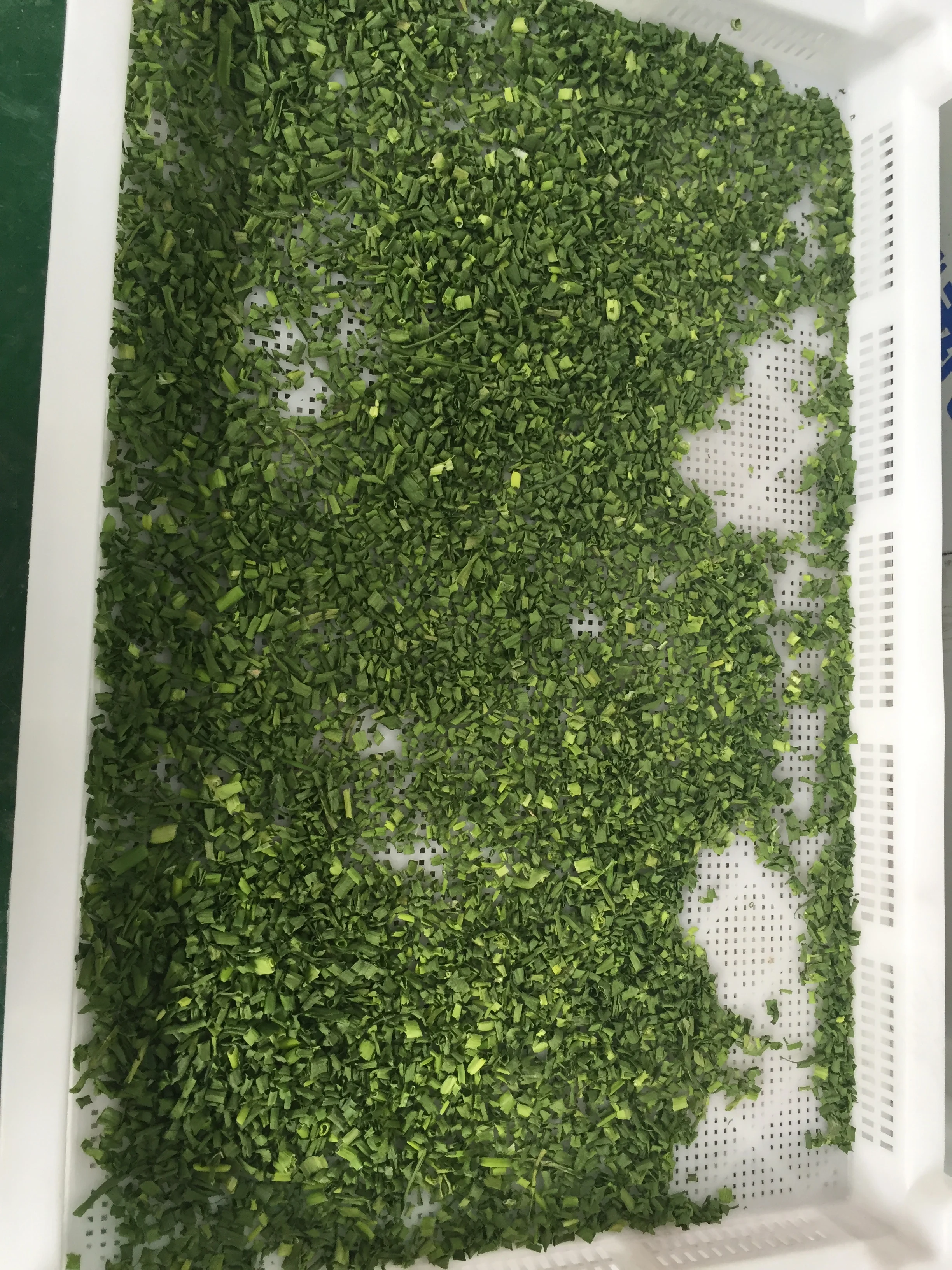 air energy dehydrator tarragon drying machine industrial tarragon dryer