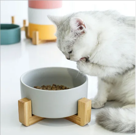 Good Quality Ceramic Cat Bowl with Wood Stand Pet Bowl For Dog And Cat