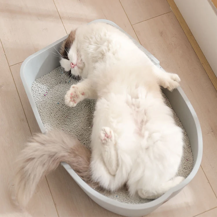 Lemon Flavor Bentonite Cat Litter Fast Clumping Cat Litter Wholesale Manufacturers 10kg