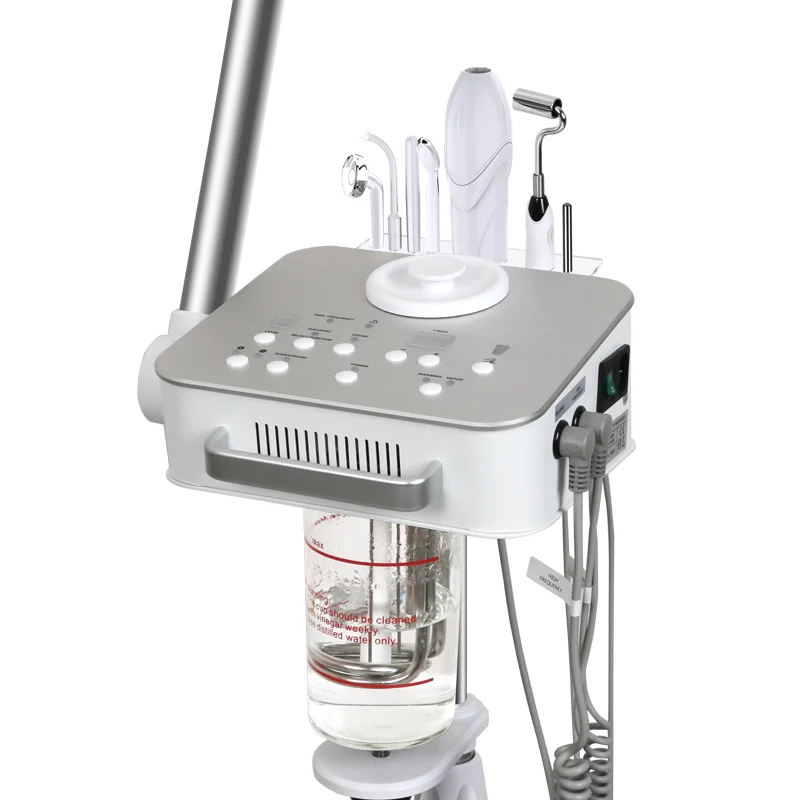 Professional Home Use Beauty Machine with Hot mister Spray Ozone Facial Steamer