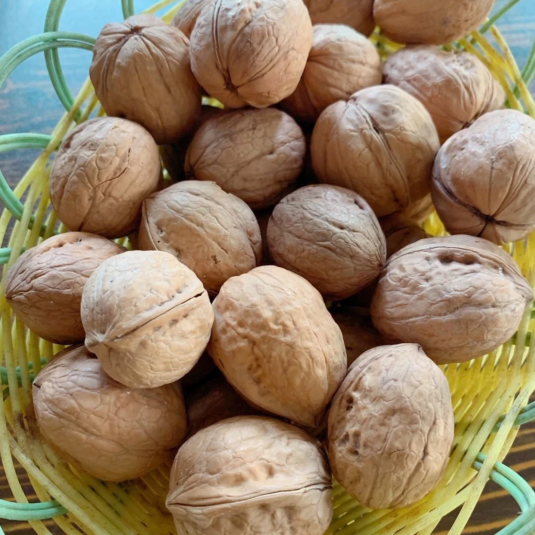 185 Тип бумажной кожи орех в оболочке из Китая по низкой цене на продажу