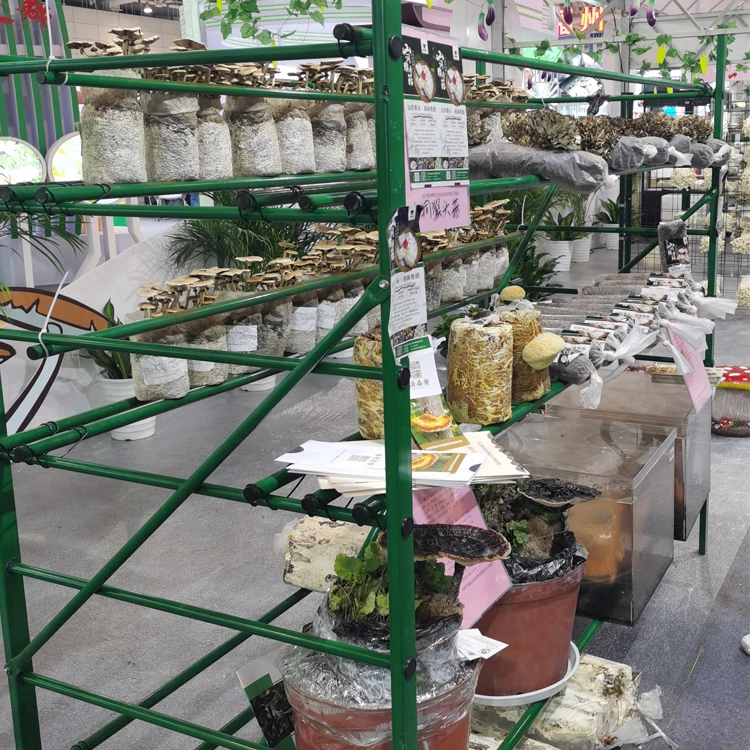 Green Epoxy Wire Mushroom Growing Shelving