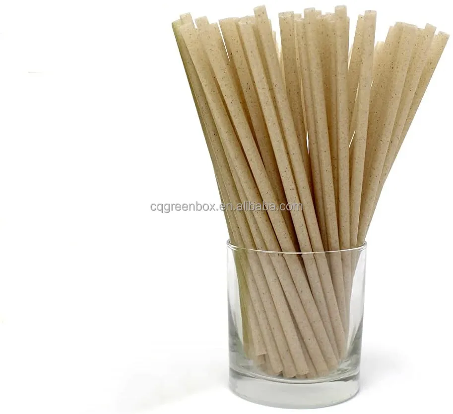 Eco disposable PLA non-plastic Degradable sugarcane bagasse drinking straw