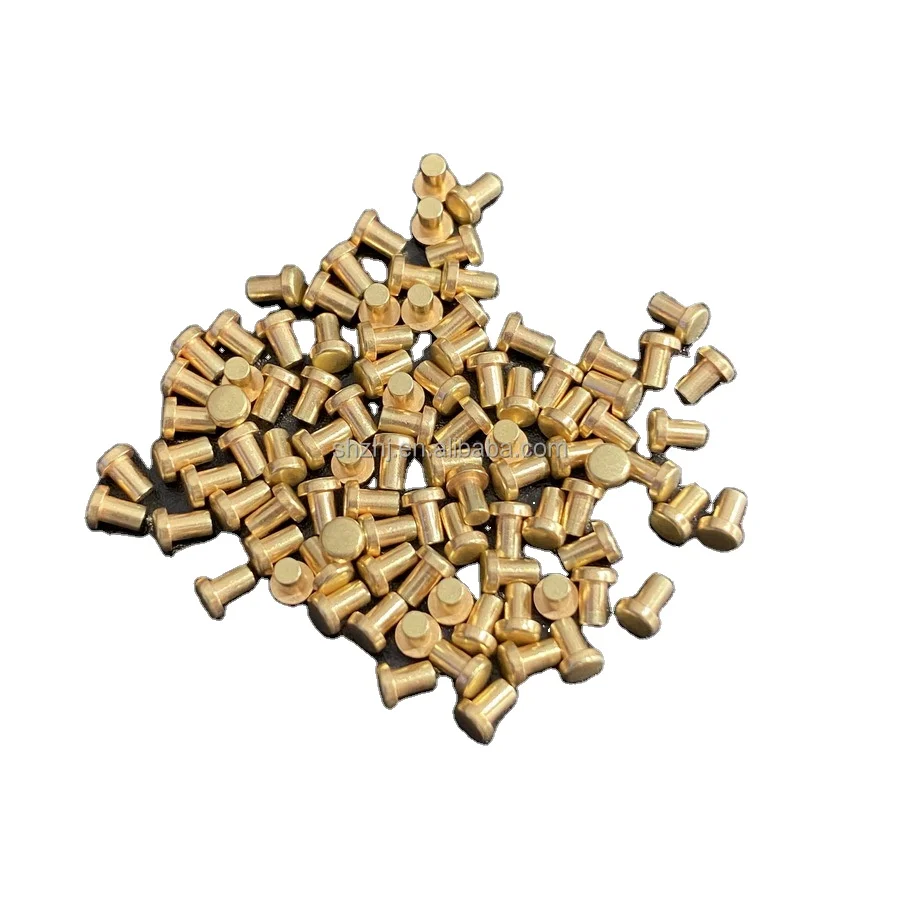 Promotional Price High Quality Agsno2 Cu Relay Electric Switch Contact