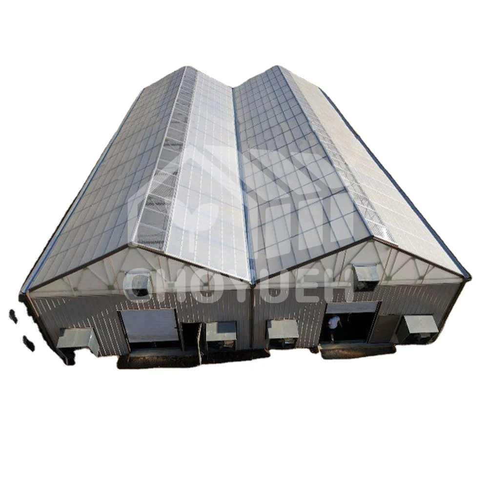 Agriculture Blackout Light Deprivation Greenhouse  Fully Automated