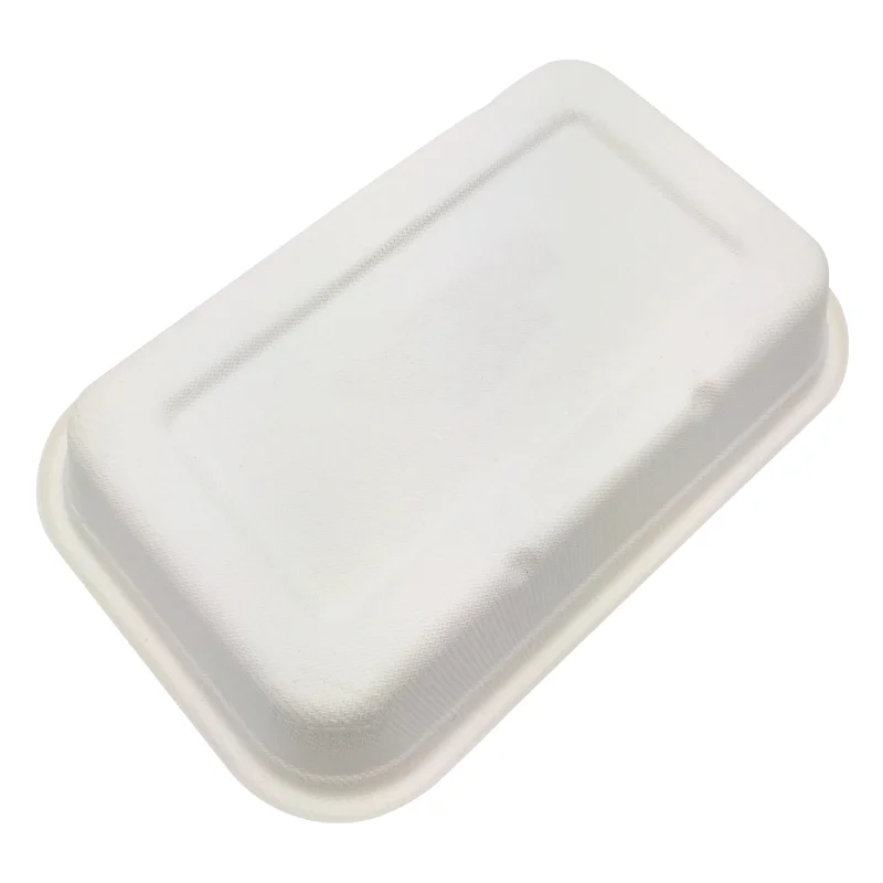 Eco- friendly Sugarcane Lunch Box Biodegradable Bagasse Take Away Box Paper Pulp To Go Food Container With PET Lid