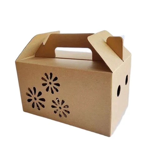 New Fancy Design Customized Corrugated Cardboard Box for Fruit and Vegetable Products Packaging Box with Handle