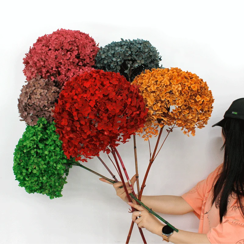 Wholesale boho high quality real long stem forever dried flower plant single anna preserved hydrangea flowers