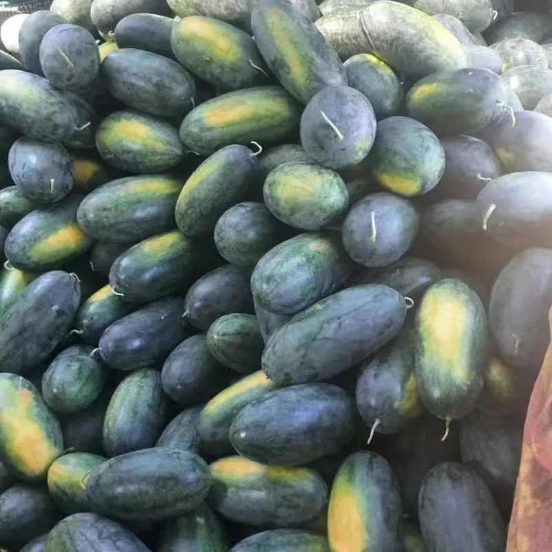 Premium Fresh Watermelon Juicy, crispy and sweet organic fresh watermelon