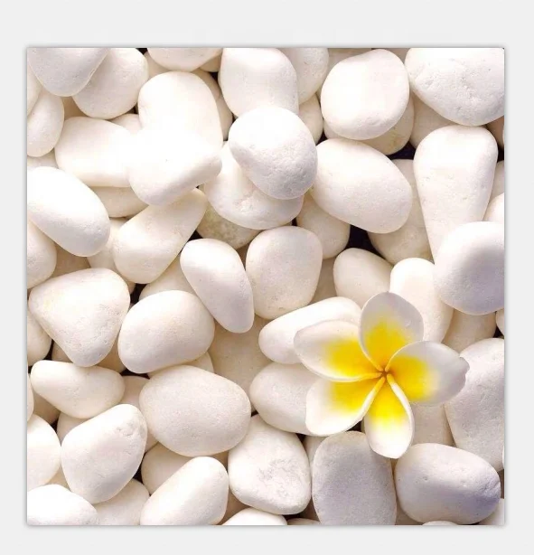 
Pure white natural pebble garden decorative stone 