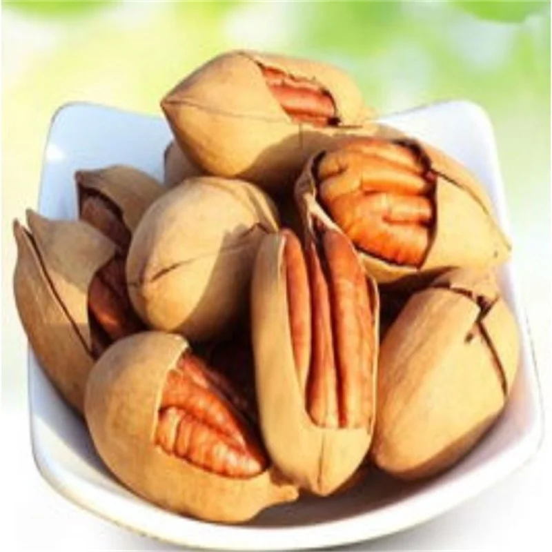 China Origin Cheap Price Roasted Pecan Nuts 100% Natural kernel pecan nuts Fresh Pecan Nuts