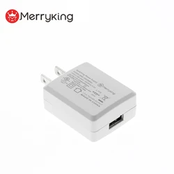 PSE Japan wall charger 5V 250mA 300mA portable USB charger with 100-240vac input