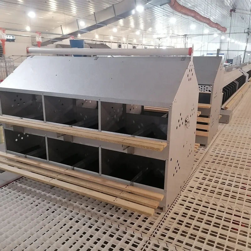 Poultry Equipment Hens layer Coop Farm House  Breeder Nesting 24 Holes Nest Boxes Chicken Laying Egg Nesting Box for