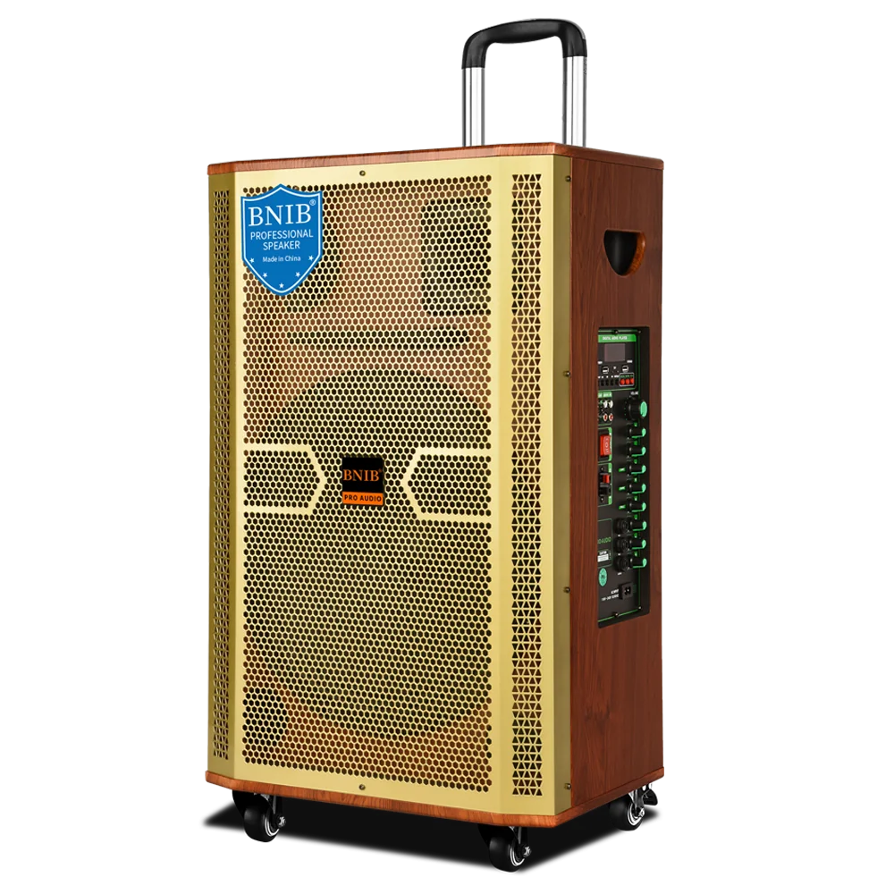 Wooden Speakers Bass High Quality Portable Wireless 12 inch Speaker 800watts Powered Trolley Speaker With 2 Wireless MIC