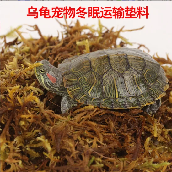 Sphagnum Moss Custom Compressed Dry Brick Sphagnum Peat Moss For Reptile Substrate Plants