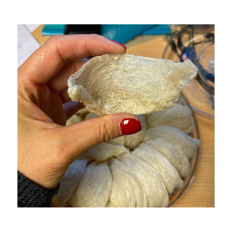 Indionesia Health Care Food Supplement Simonfish Amsterdam High Quality Dried Swallow Bird Nest For Sale