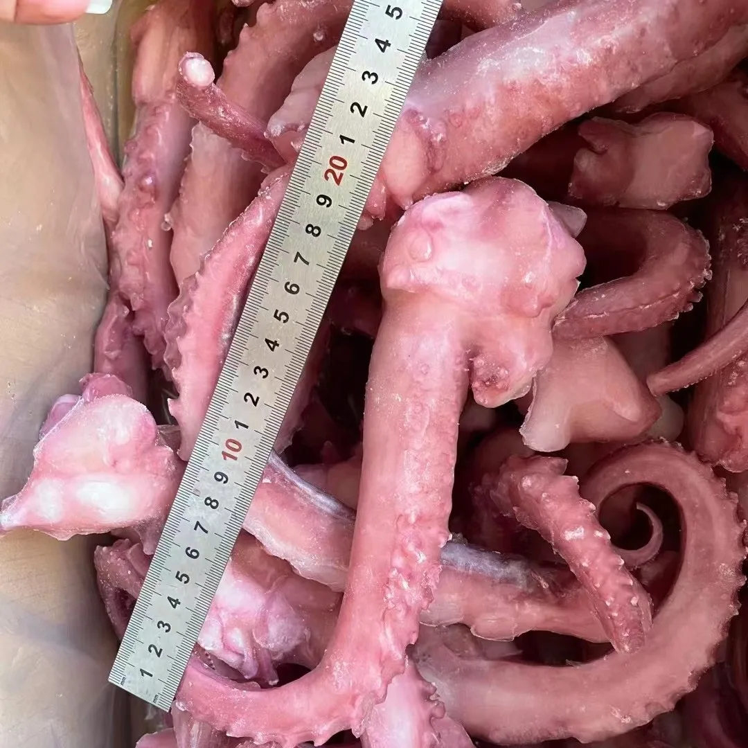 Frozen Squid Tentacle 20cm