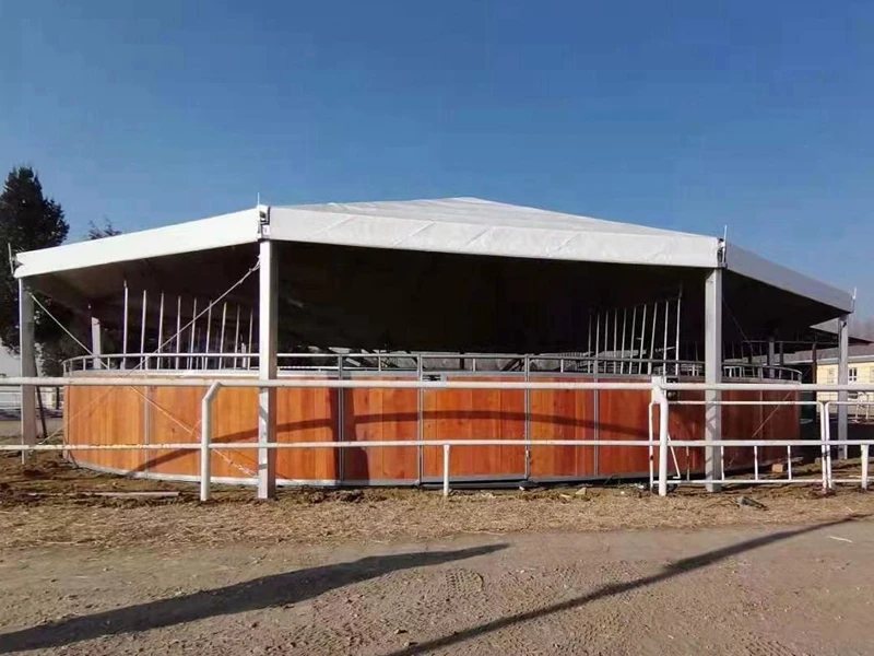 CE CERTIFIED AND PATENTED Horse walker power control box