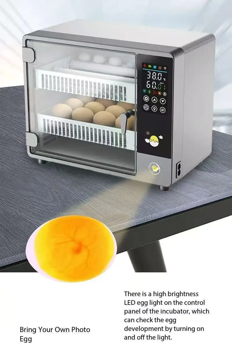 2024 Model CE Certified Automatic Incubator Hot Selling Small Household Unit for Duck Goose Bird Egg Hatching