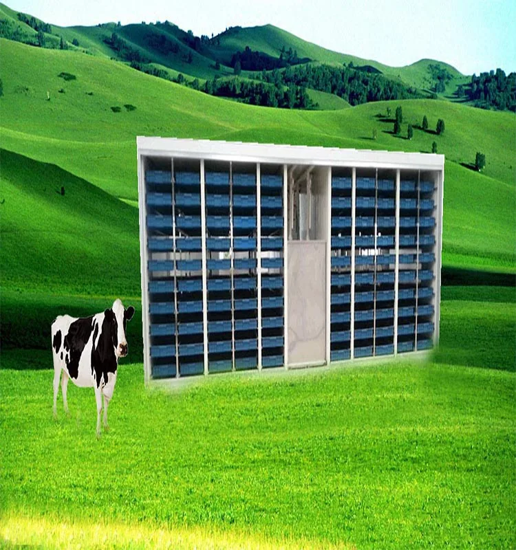 Automatic barley fodder growing systems cultivation of hydroponic forage grasses hydroponic grass wikipedia