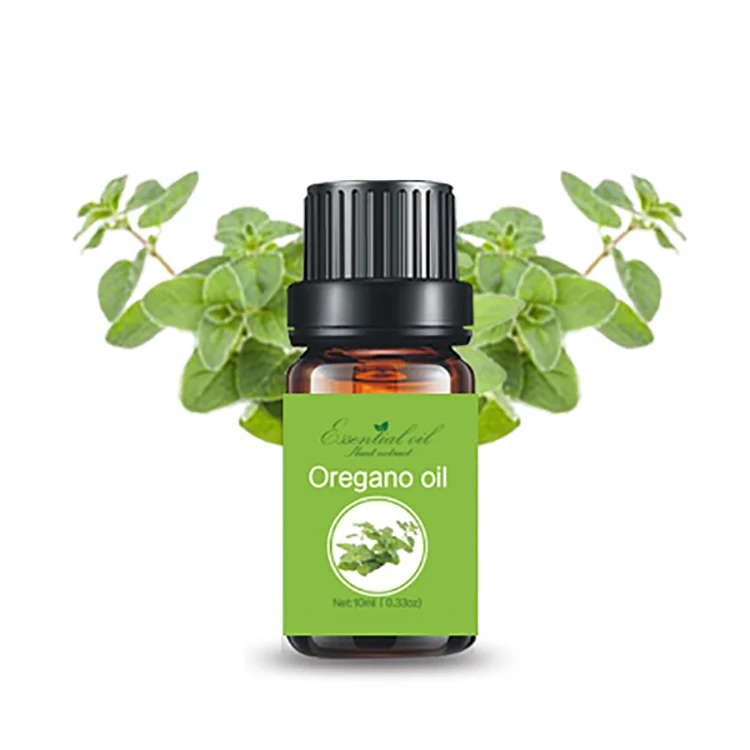 10ml Bottle Organic Oregano Oil with High Carvacrol, Thymol 100% Pure and Natural Oregano Oil For Food Additive Medical Oil