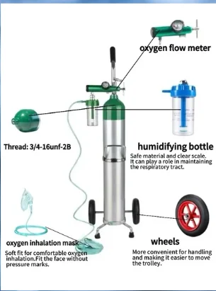 0.5L Medical Oxygen Cylinder Clearance Sale