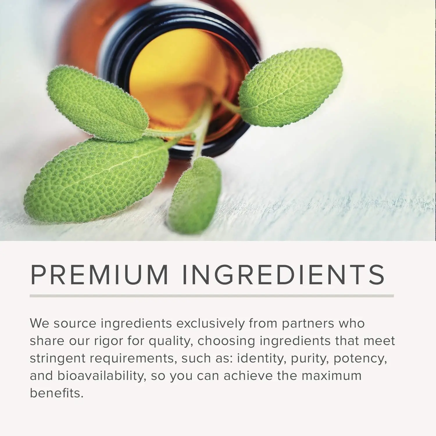 Private Label Elm Bark Powder 10:1 Slippery Elm Bark Powder Supplement Slippery Elm Bark Extract 9000 mg Veggie Capsules