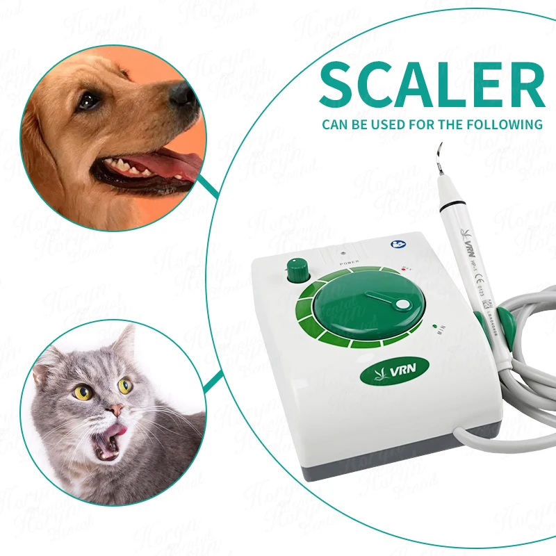 Dental Instruments Electric Ultrasonic Sonic Tooth Scaler Teeth Cleaner Oral Hygiene For Dentists Or Pets Home Appliances