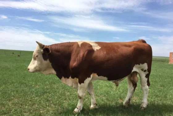 paste-pic-dp_uuid_mmwp5