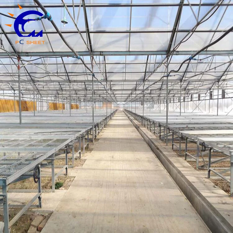 Коммерческая сельскохозяйственная теплица из поликарбоната по низкой цене