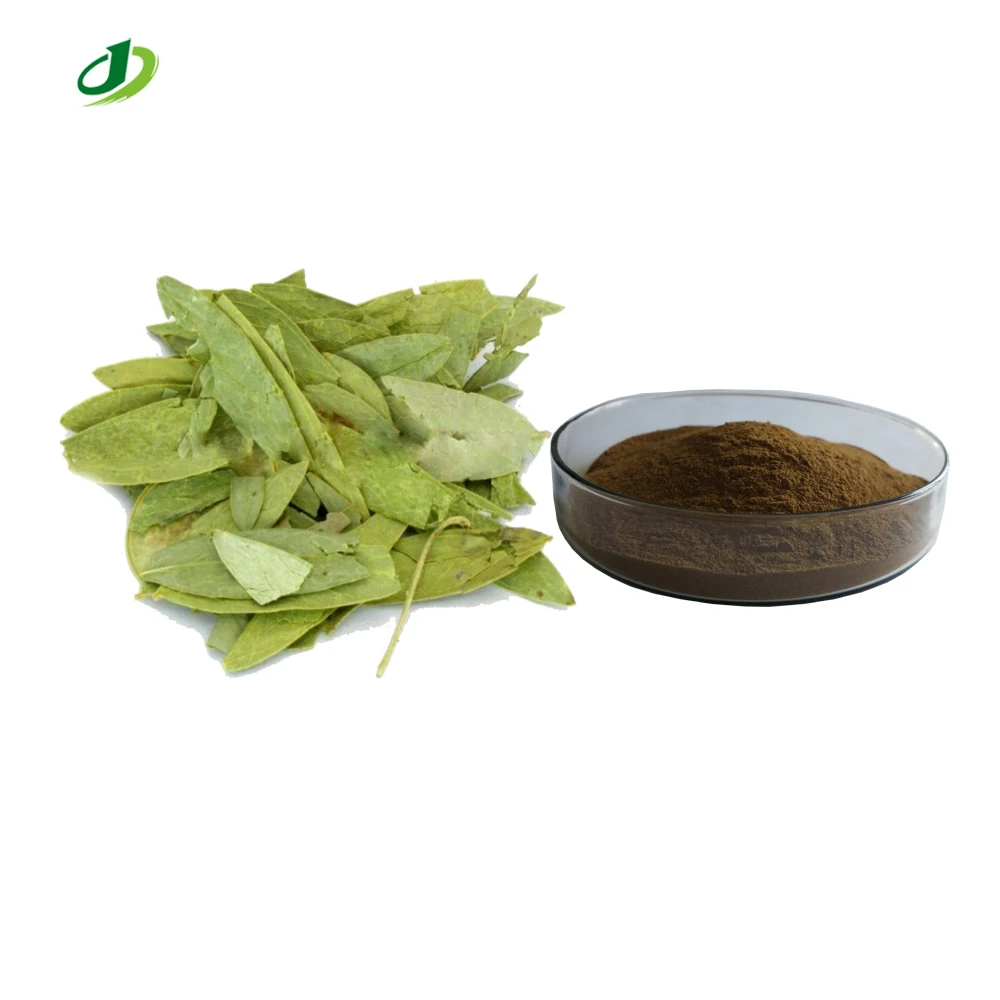 Senna Leaf Extract Cassia angustifolia extract Powder 20:1