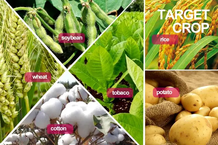 Fungicide Metiram 66% + Pyraclostrobin 6%  WDG for Downy Mildew