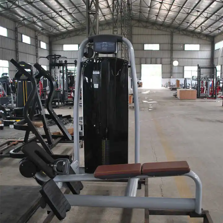 Fitness Equipment Indoor Exercise Machine Factory Sale Seated Horizontal Pully Machine Bodybuilding Gym Equipment