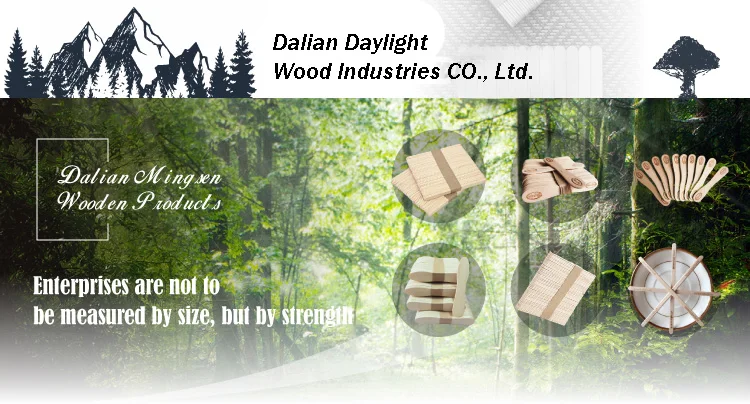 paper wrapped wooden ice cream spoon