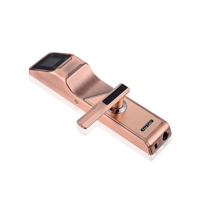 
Profession Zink Alloy fingerprint locking mailboxes Face recognitio smart lock door outdoor 