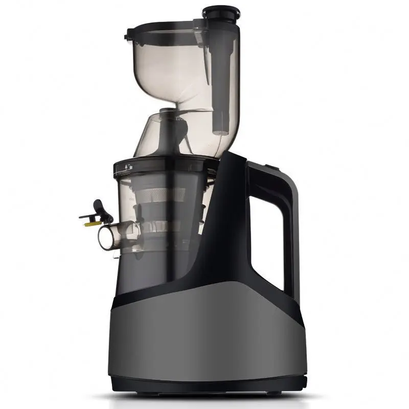  Slow Juicer With Stainless Steel Filter Combined Ice Cream to Extract Fruits and