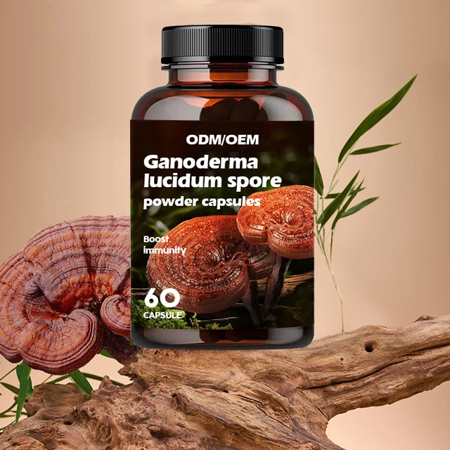 OEM Immunity Boosters Herbal Organic Reishi Mushroom Shell Broken Spore Powder Capsules Ganoderma Lucidum Spore Powder Capsules