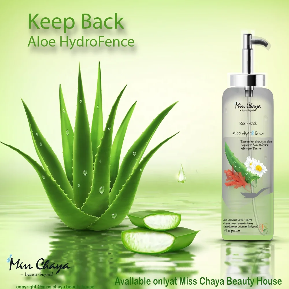 MISS CHAYA Keep Back Aloe Hydrofence Gel Soothing Reparing Relaxing Moisturizing Aloe Vera Chamomile Red Algae Premium Hot Item
