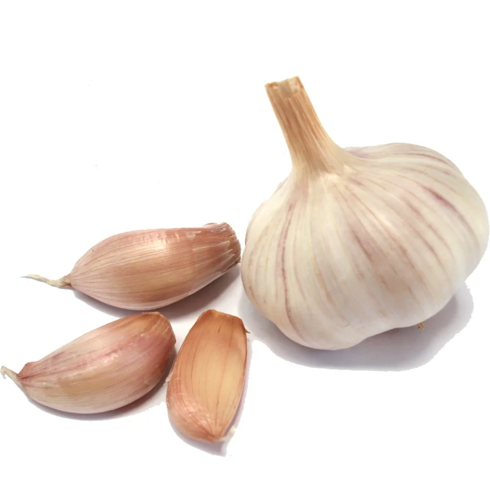 
Low cost and best selling fresh dry normal white garlic and red garlic from chinese vendor 