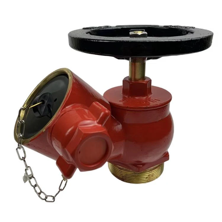 Threaded Connection 2.5 Inches Fire Hydrant Fire cut-off Valve Brass fire hydrant