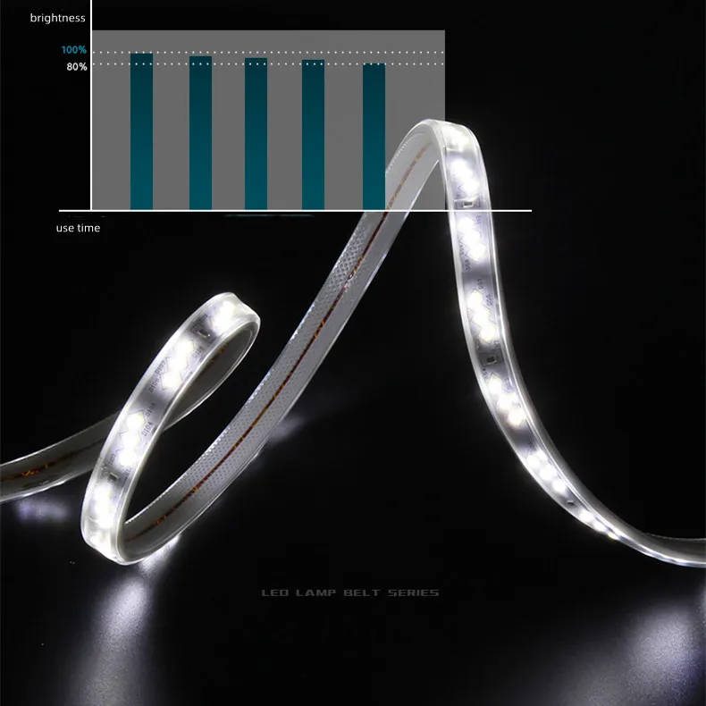 Wholesale Waterproof IP65 RGB Led Strip Light 320leds/m LED Night Light Strips for Indoor Outdoor Lamps