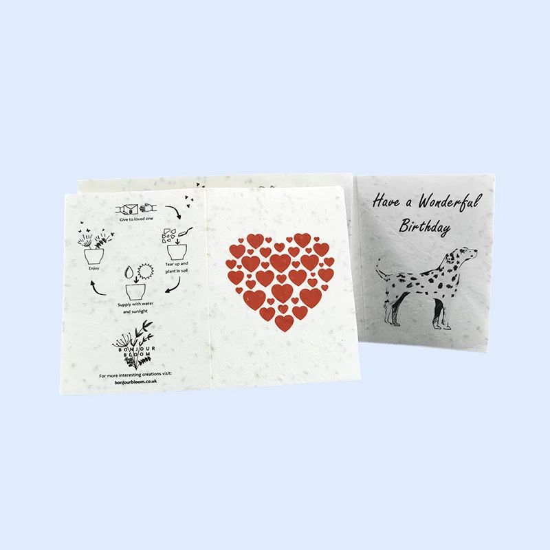 Customize Handmade Greeting card Colorful postcard and Christmas greeting card Recyclable environment-friendly seed paper card