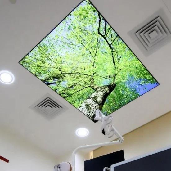 ZHIHAI new tree flower print pvc membrane sheet stretch ceiling